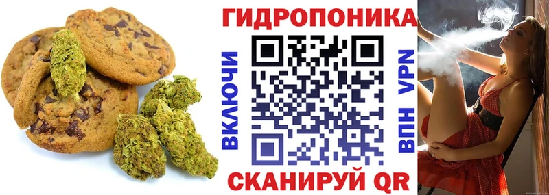 MEGA как войти  Чита  Печенье с ТГК марихуана 