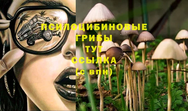 спайс Абаза