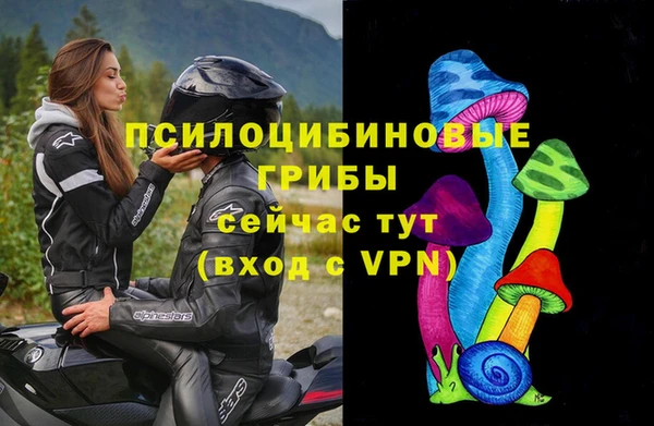твердый Абинск