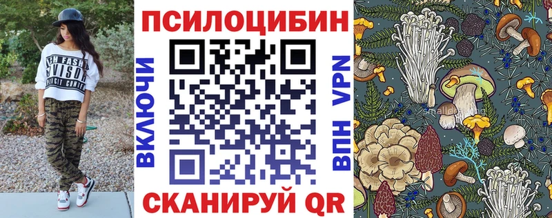 mega ссылка  Чита  Галлюциногенные грибы Psilocybe 