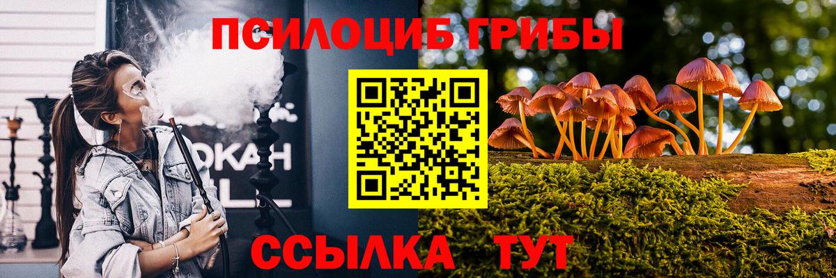 Псилоцибиновые грибы ЛСД  Вход с VPN  Чита 